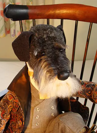 Schnauzer in the country
