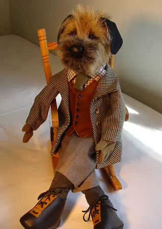 Border terrier in the country